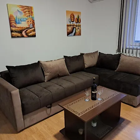 Apartment Andjela Soko Banja