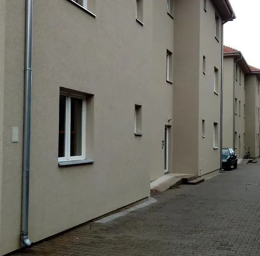 Andjela * Soko Banja